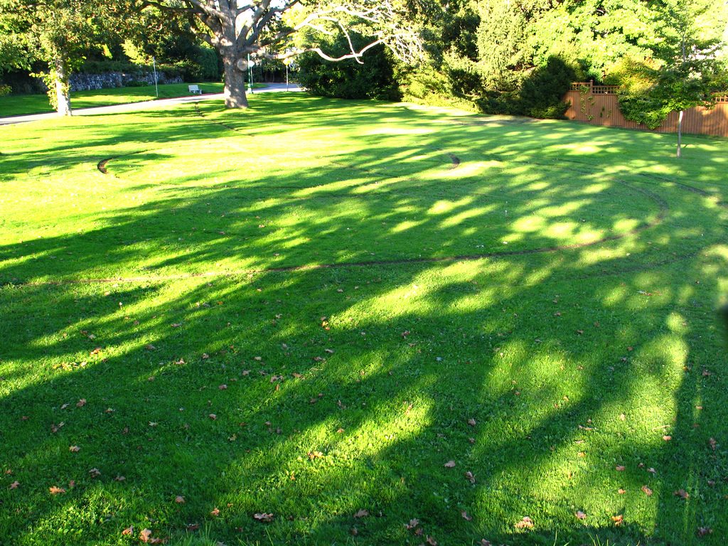 Lawn Care Service